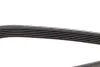 Ремень поликлин. (пр-во DAYCO) dayco 6PK1209