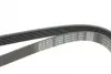 Ремень поликлин. (пр-во DAYCO) dayco 6PK1215
