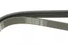 Ремень поликлин. (пр-во DAYCO) dayco 6PK1310