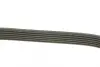 Ремень поликлин. (пр-во DAYCO) dayco 6PK1352