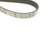 Ремень поликлин. (пр-во DAYCO) dayco 6PK1352