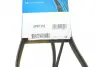 Ремень поликлин. (пр-во DAYCO) dayco 6PK1352