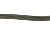Ремень поликлин. (пр-во DAYCO) dayco 6PK1355