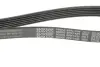 Ремень поликлин. (пр-во DAYCO) Dayco 6PK1435 (фото 2)