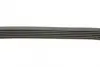 Ремень поликлин. (пр-во DAYCO) dayco 6PK1437