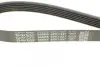 Ремень поликлин. (пр-во DAYCO) dayco 6PK1437