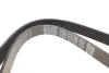 Ремень поликлин. (пр-во DAYCO) dayco 6PK1450