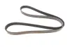 Ремень поликлин. (пр-во DAYCO) dayco 6PK1450