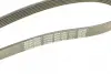 Ремень поликлин. (пр-во DAYCO) dayco 6PK1462