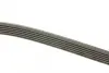 Ремень поликлин. (пр-во DAYCO) dayco 6PK1510