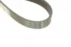 Ремень поликлин. (пр-во DAYCO) dayco 6PK1510