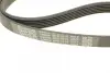 Ремень поликлин. (пр-во DAYCO) dayco 6PK1510