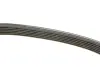 Ремень поликлин. (пр-во DAYCO) dayco 6PK1545