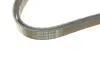 Ремень поликлин. (пр-во DAYCO) dayco 6PK1545