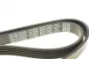 Ремень поликлин. (пр-во DAYCO) dayco 6PK1558