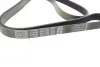 Ремень поликлин. (пр-во DAYCO) dayco 6PK1565