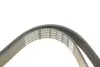 Ремень поликлин. (пр-во DAYCO) dayco 6PK1588