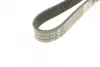 Ремень поликлин. (пр-во DAYCO) Dayco 6PK1613 (фото 3)
