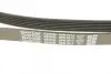 Ремень поликлин. (пр-во DAYCO) Dayco 6PK1613 (фото 4)