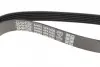 Ремень поликлин. (пр-во DAYCO) dayco 6PK1635