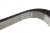 Ремень поликлин. (пр-во DAYCO) dayco 6PK1635