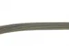 Ремень поликлин. (пр-во DAYCO) dayco 6PK1660