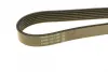 Ремень поликлин. (пр-во DAYCO) dayco 6PK1660