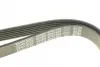 Ремень поликлин. (пр-во DAYCO) dayco 6PK1660
