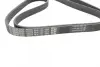 Ремень поликлин. (пр-во DAYCO) dayco 6PK1733