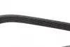 Ремень поликлин. (пр-во DAYCO) dayco 6PK1733