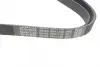 Ремень поликлин. (пр-во DAYCO) dayco 6PK1736