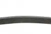 Ремень поликлин. (пр-во DAYCO) dayco 6PK1755