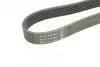 Ремень поликлин. (пр-во DAYCO) dayco 6PK1755