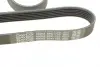 Ремень поликлин. (пр-во DAYCO) dayco 6PK1755