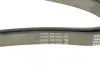 Ремень поликлин. (пр-во DAYCO) Dayco 6PK1760 (фото 4)