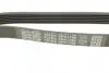 Ремень поликлин. (пр-во DAYCO) dayco 6PK1795