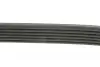 Ремень поликлин. (пр-во DAYCO) Dayco 6PK1815 (фото 6)