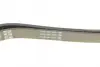 Ремень поликлин. (пр-во DAYCO) dayco 6PK1820