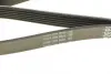 Ремень поликлин. (пр-во DAYCO) Dayco 6PK2020 (фото 4)