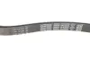 Ремень поликлин. (пр-во DAYCO) dayco 6PK2050