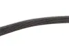 Ремень поликлин. (пр-во DAYCO) Dayco 6PK2070 (фото 4)