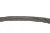Ремень поликлин. (пр-во DAYCO) Dayco 6PK2080 (фото 3)
