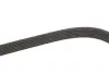 Ремень поликлин. (пр-во DAYCO) Dayco 6PK2120 (фото 3)