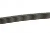 Ремень поликлин. (пр-во DAYCO) Dayco 6PK2160 (фото 2)