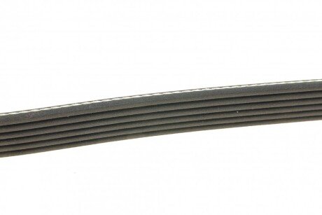 Привідний ремінь генератора dayco 6PK2160