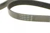 Ремень поликлин. (пр-во DAYCO) Dayco 6PK2160 (фото 3)