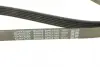 Ремень поликлин. (пр-во DAYCO) Dayco 6PK2160 (фото 4)