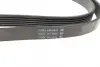 Ремень поликлин. (пр-во DAYCO) Dayco 6PK2170 (фото 3)