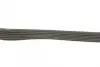 Ремень поликлин. (пр-во DAYCO) dayco 6PK2195