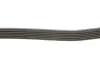 Ремень поликлин. (пр-во DAYCO) dayco 6PK2210